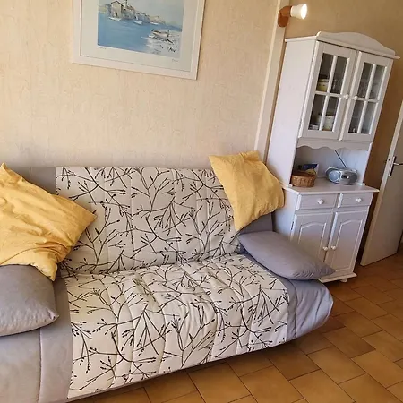Apartment T2 Climatise Avec Piscine Et Parking A 20m De La Mer, Pour 5 Pers - Fr-1-607-100