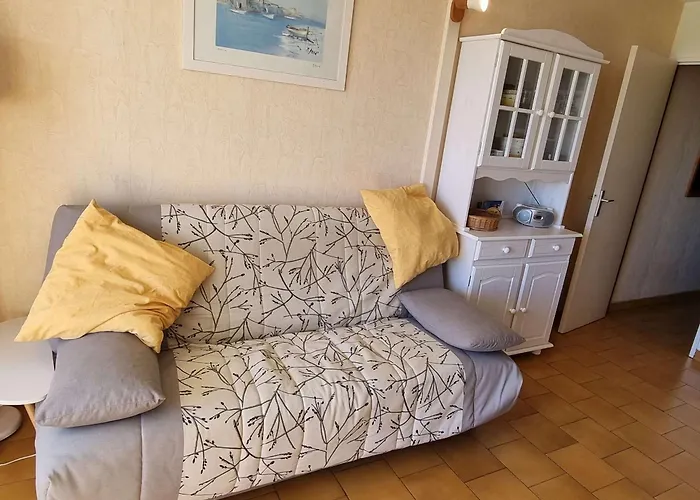 شقة T2 Climatise Avec Piscine Et Parking A 20m De La Mer, Pour 5 Pers - Fr-1-607-100